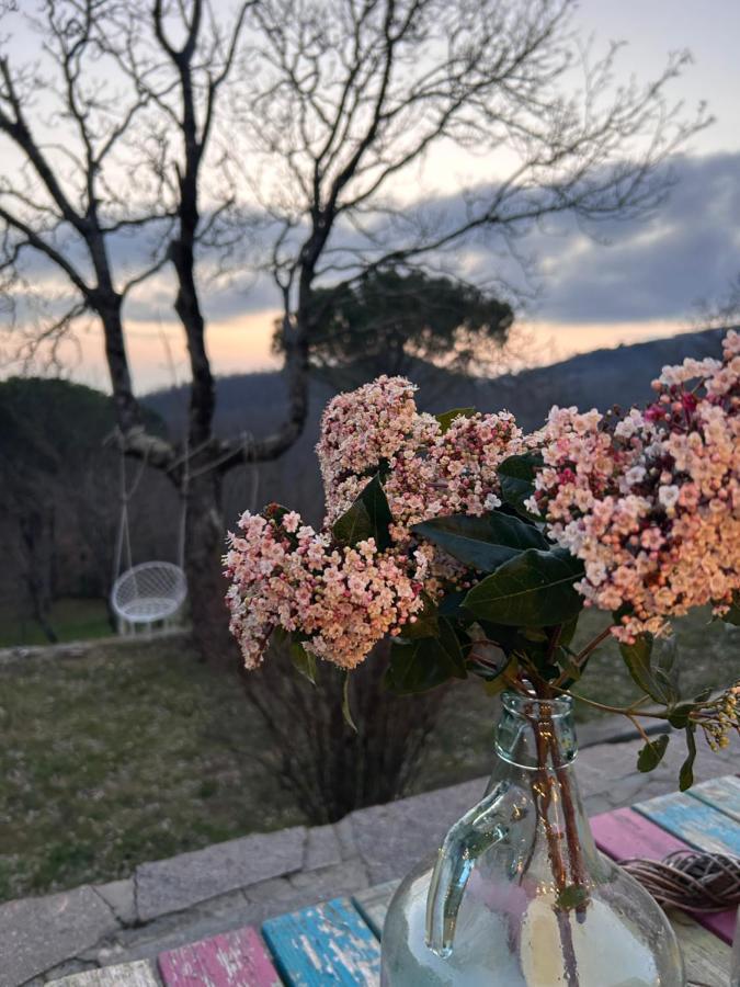 Podere Ceppeti 13 Gabellino Luaran gambar