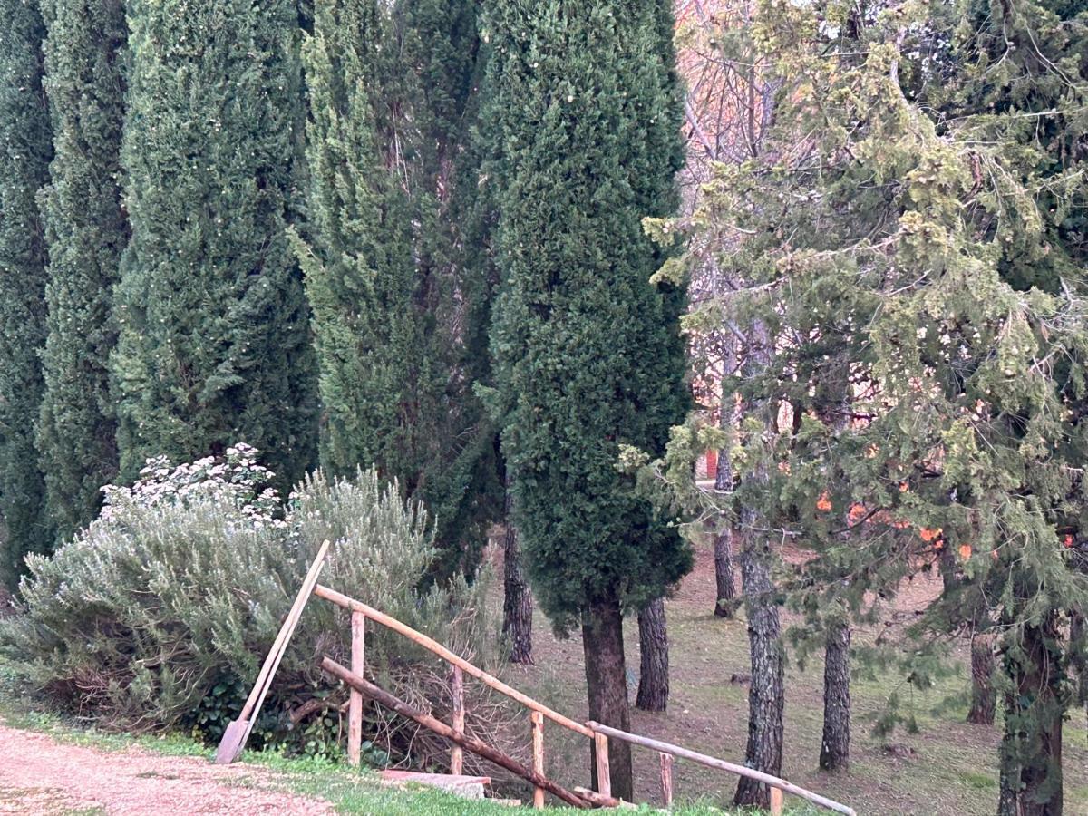 Podere Ceppeti 13 Gabellino Luaran gambar